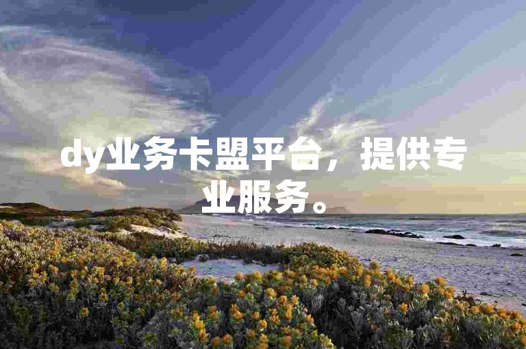 dy业务卡盟平台，提供专业服务。