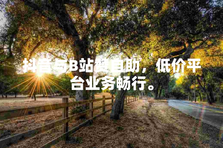 抖音与B站赞自助，低价平台业务畅行。
