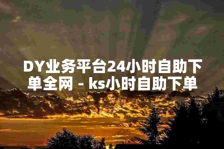 DY业务平台24小时自助下单全网 - ks小时自助下单平台免费
