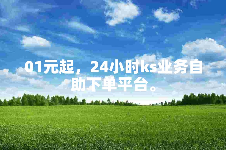 01元起，24小时ks业务自助下单平台。