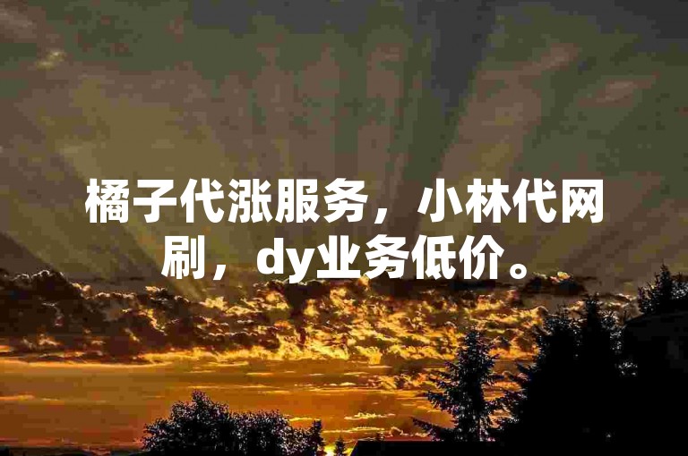 橘子代涨服务，小林代网刷，dy业务低价。
