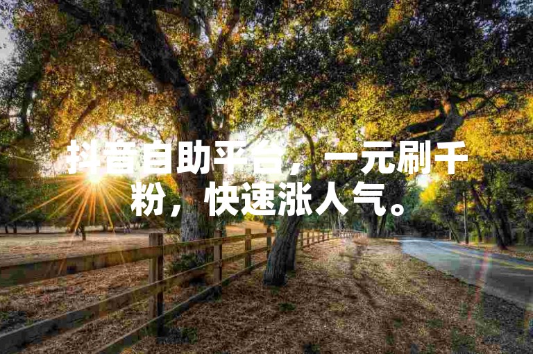 抖音自助平台，一元刷千粉，快速涨人气。