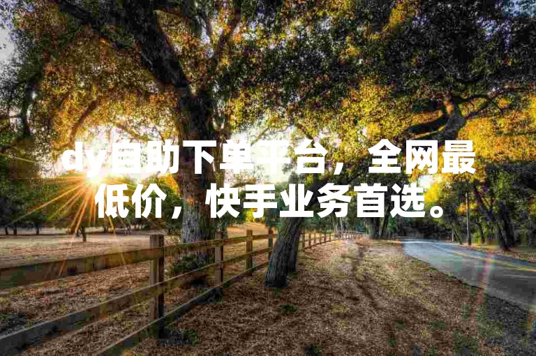 dy自助下单平台，全网最低价，快手业务首选。