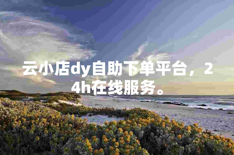 云小店dy自助下单平台，24h在线服务。