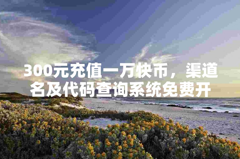 300元充值一万快币，渠道名及代码查询系统免费开放。