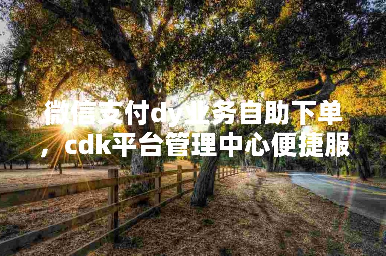 微信支付dy业务自助下单，cdk平台管理中心便捷服务。