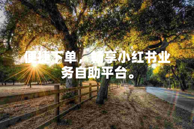 便捷下单，畅享小红书业务自助平台。