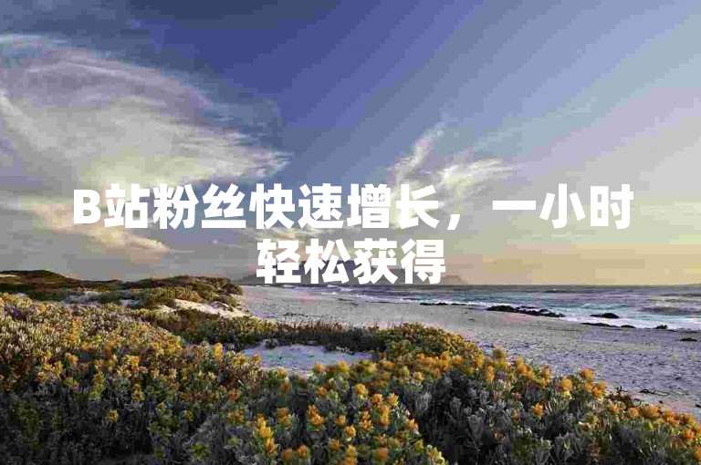 B站粉丝快速增长，一小时轻松获得500有效粉丝。