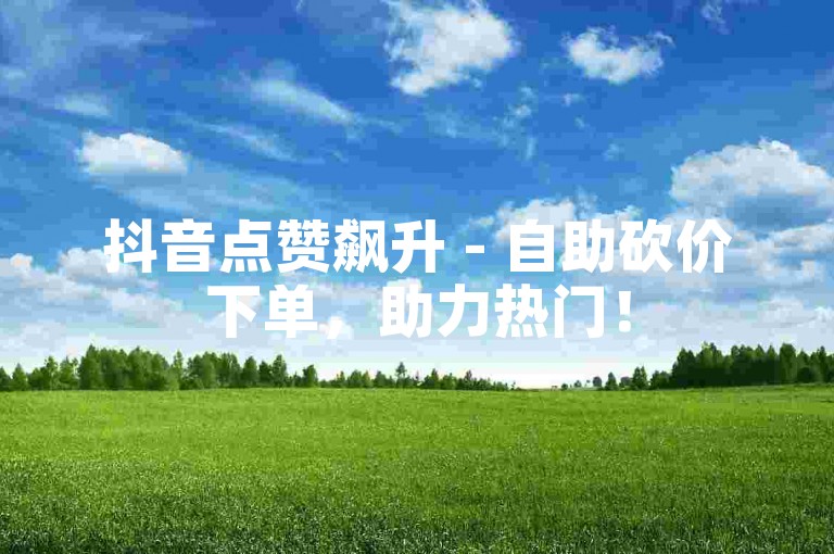 抖音点赞飙升 - 自助砍价下单，助力热门！