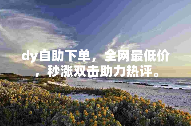 dy自助下单，全网最低价，秒涨双击助力热评。