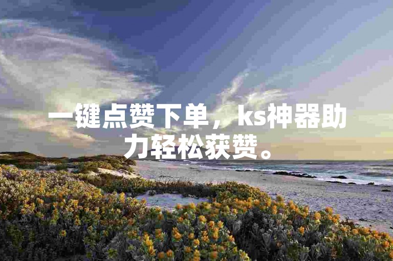 一键点赞下单，ks神器助力轻松获赞。