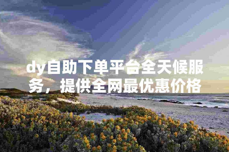 dy自助下单平台全天候服务，提供全网最优惠价格。
