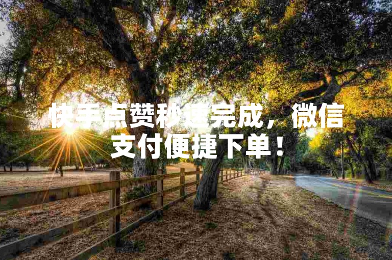 快手点赞秒速完成，微信支付便捷下单！