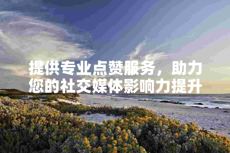 提供专业点赞服务，助力您的社交媒体影响力提升。