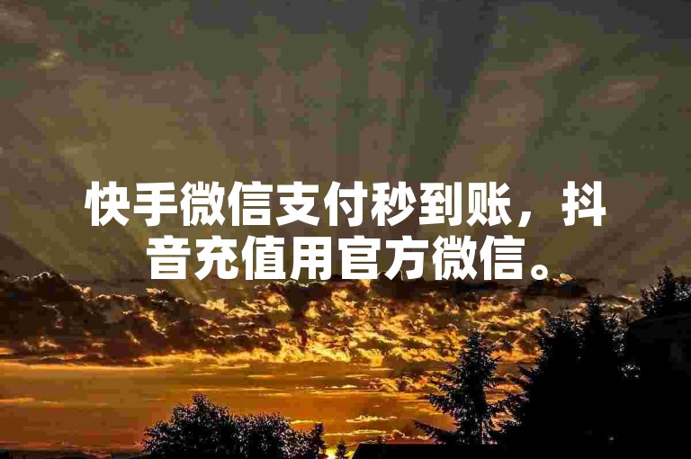 快手微信支付秒到账，抖音充值用官方微信。
