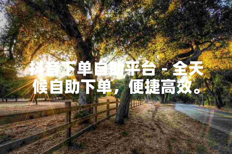 抖音下单自助平台 - 全天候自助下单，便捷高效。