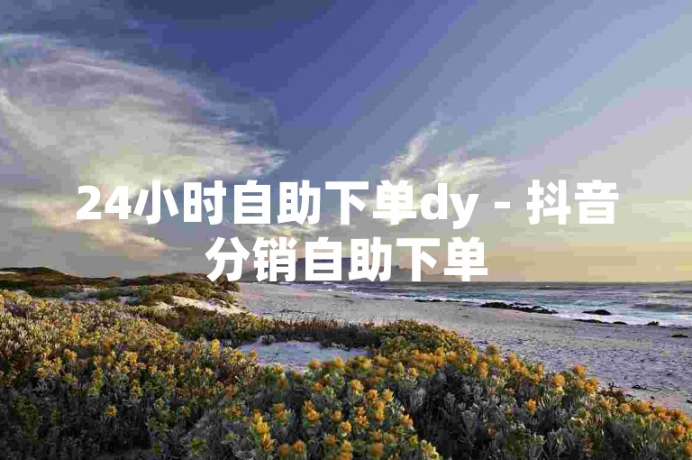 24小时自助下单dy - 抖音分销自助下单