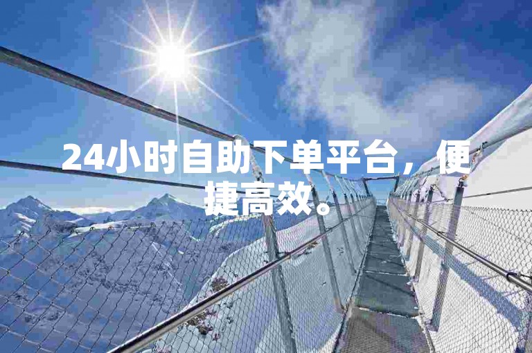 24小时自助下单平台，便捷高效。