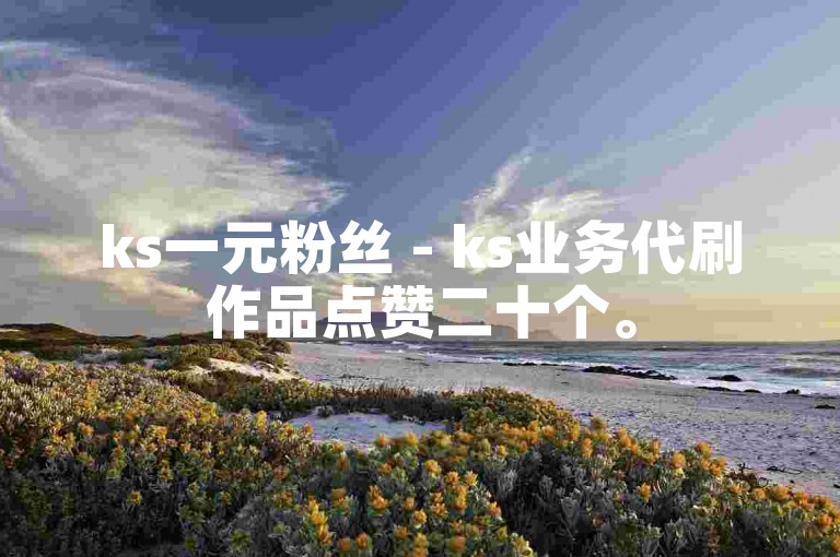 ks一元粉丝 - ks业务代刷作品点赞二十个。