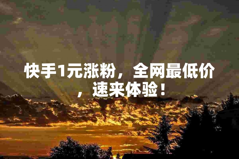 快手1元涨粉，全网最低价，速来体验！