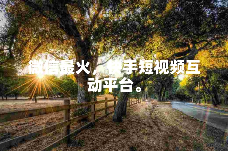 微信最火，快手短视频互动平台。