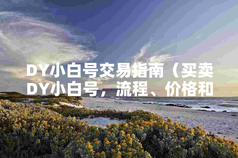 DY小白号交易指南（买卖DY小白号，流程、价格和安全提示）