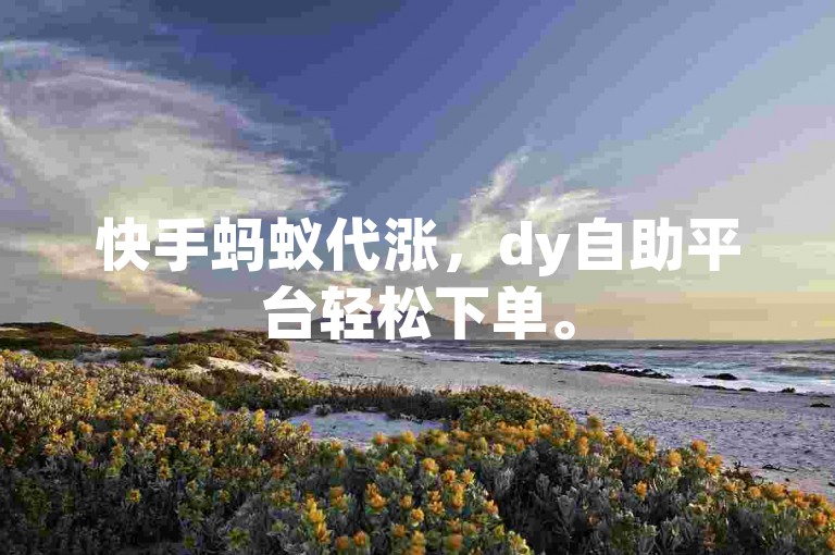 快手蚂蚁代涨，dy自助平台轻松下单。