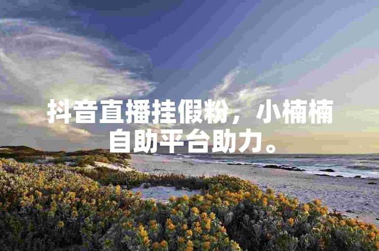 抖音直播挂假粉，小楠楠自助平台助力。