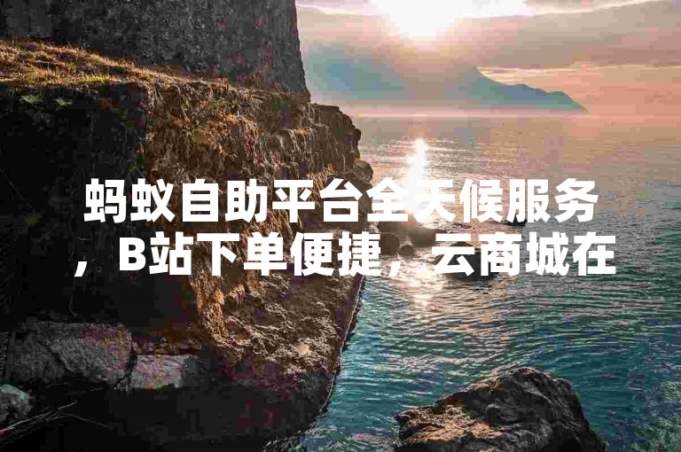 蚂蚁自助平台全天候服务，B站下单便捷，云商城在线选购。