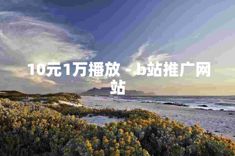 10元1万播放 - b站推广网站