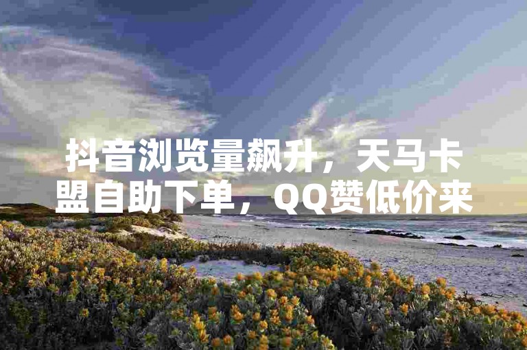 抖音浏览量飙升，天马卡盟自助下单，QQ赞低价来袭！