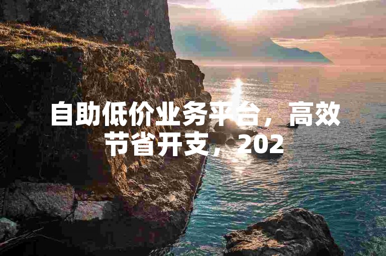 自助低价业务平台，高效节省开支，2025必备技能！