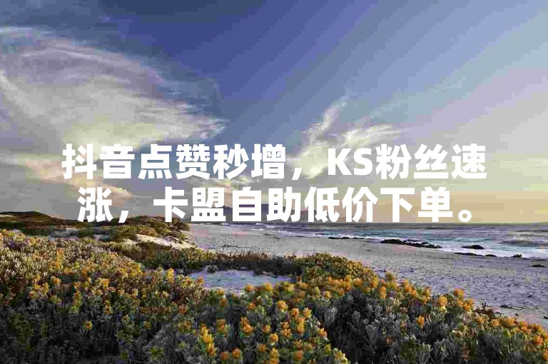 抖音点赞秒增，KS粉丝速涨，卡盟自助低价下单。