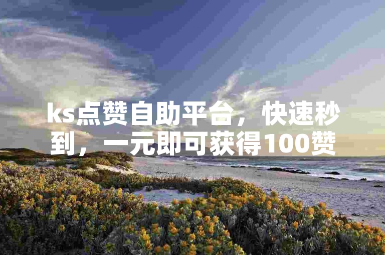 ks点赞自助平台，快速秒到，一元即可获得100赞。