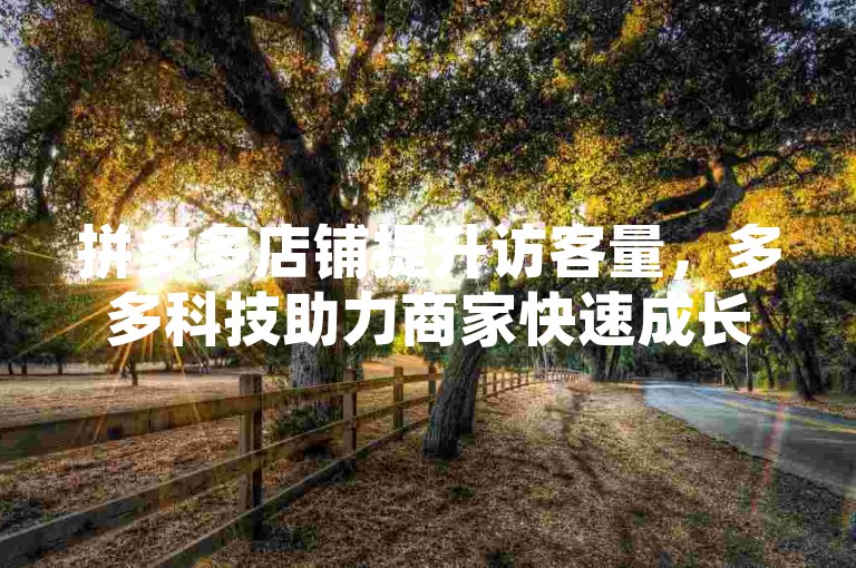 拼多多店铺提升访客量，多多科技助力商家快速成长。