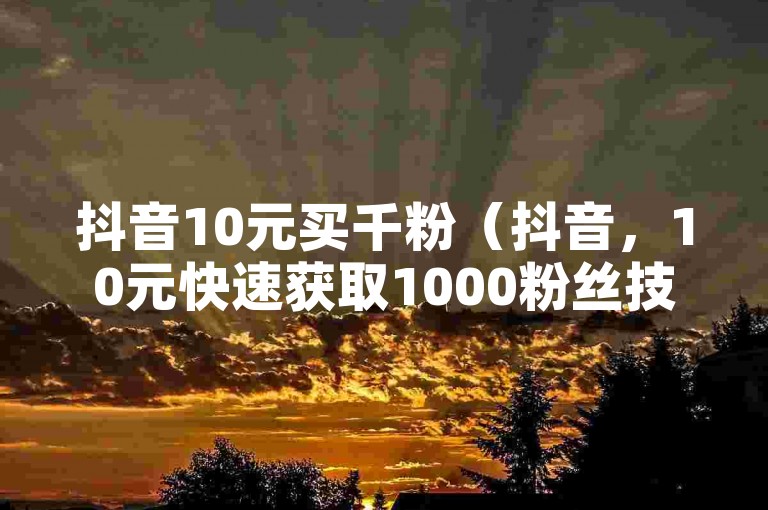 抖音10元买千粉（抖音，10元快速获取1000粉丝技巧）