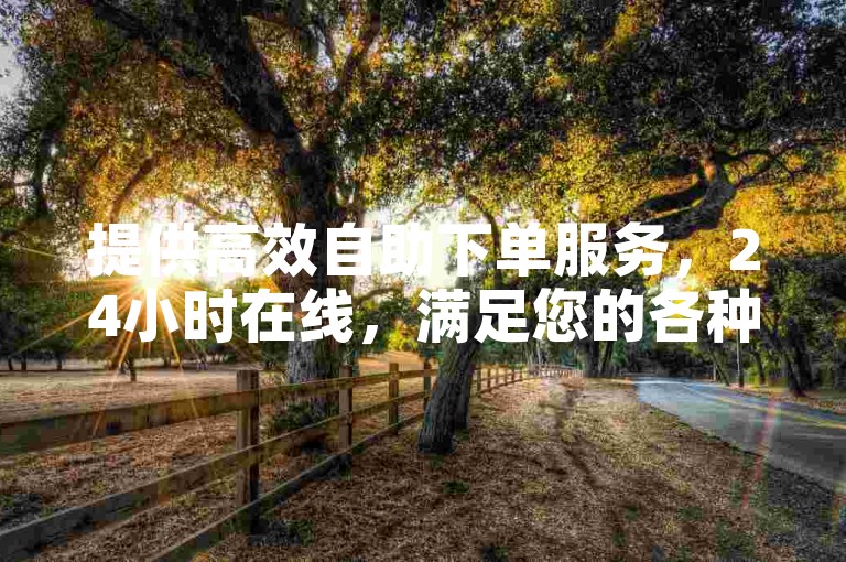 提供高效自助下单服务，24小时在线，满足您的各种需求。