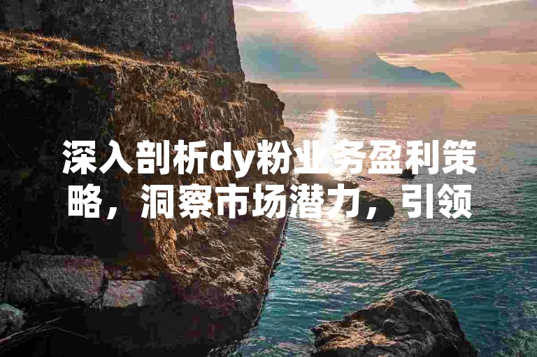 深入剖析dy粉业务盈利策略，洞察市场潜力，引领商业先机。
