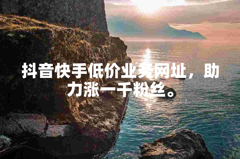 抖音快手低价业务网址，助力涨一千粉丝。