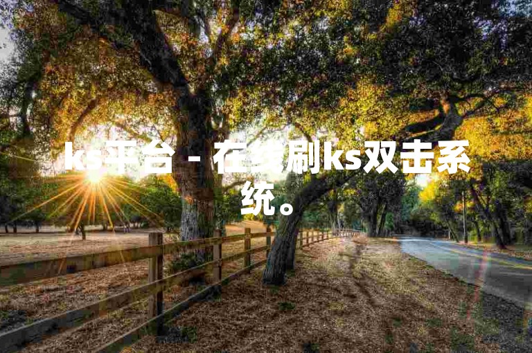 ks平台 - 在线刷ks双击系统。