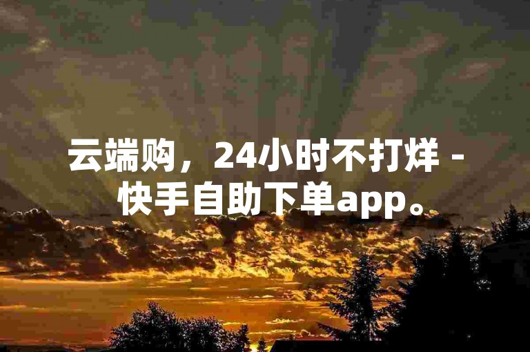 云端购，24小时不打烊 - 快手自助下单app。