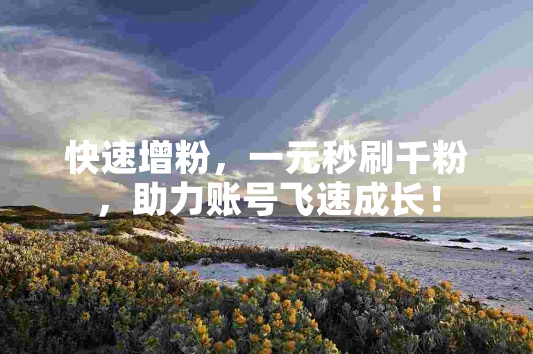 快速增粉，一元秒刷千粉，助力账号飞速成长！