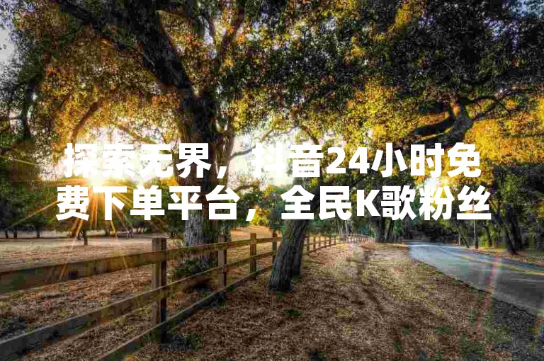 探索无界，抖音24小时免费下单平台，全民K歌粉丝速增。
