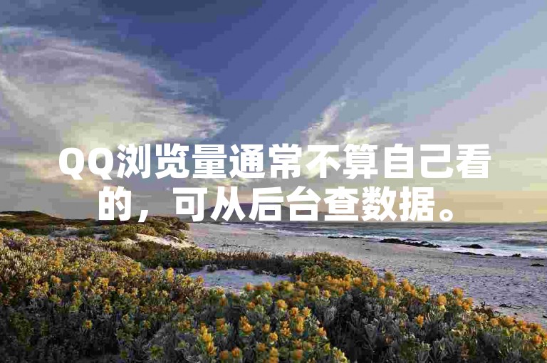 QQ浏览量通常不算自己看的，可从后台查数据。