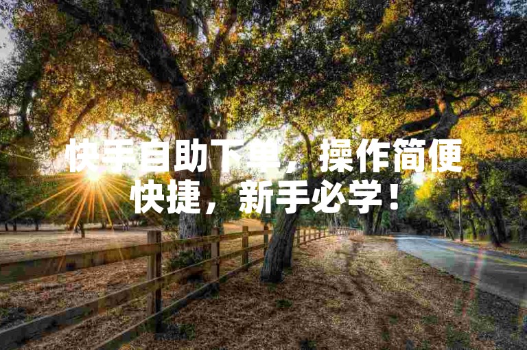 快手自助下单，操作简便快捷，新手必学！