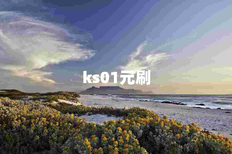 ks01元刷500个播放 - ks点赞自助下单平台ln