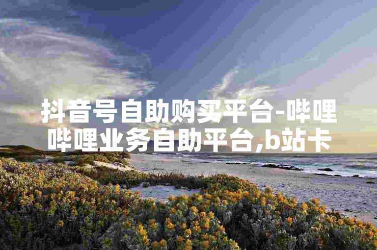 抖音号自助购买平台-哔哩哔哩业务自助平台,b站卡盟在线自助下单。