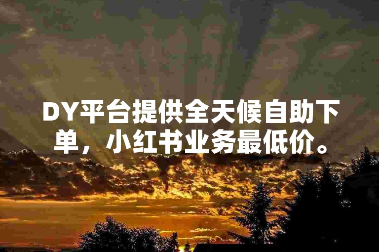 DY平台提供全天候自助下单，小红书业务最低价。