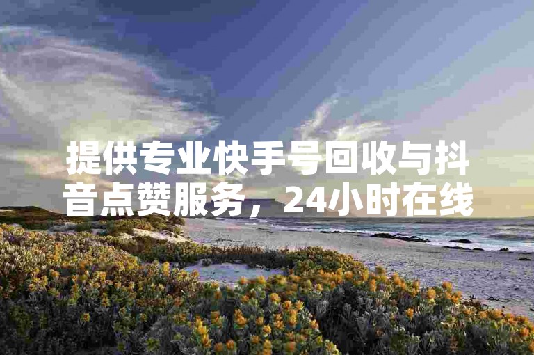 提供专业快手号回收与抖音点赞服务，24小时在线。