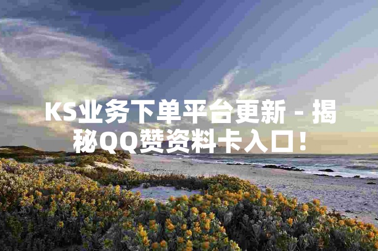 KS业务下单平台更新 - 揭秘QQ赞资料卡入口！